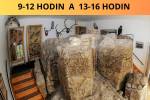 Muzeum bude ve státní svátek 8. května otevřeno Muzeum bude ve státní svátek 8. května otevřeno